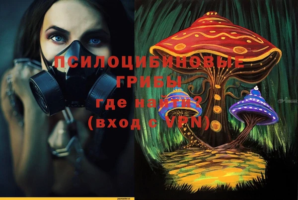 дурь Бердск