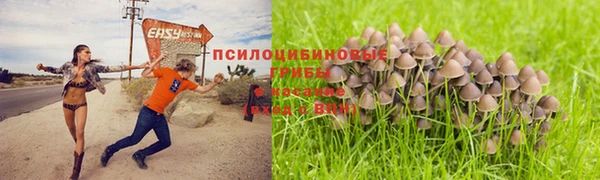 мескалин Нея