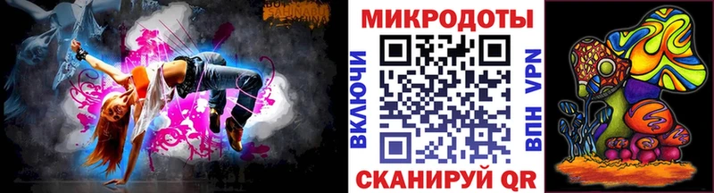 Псилоцибиновые грибы Psilocybe  Новое Девяткино 